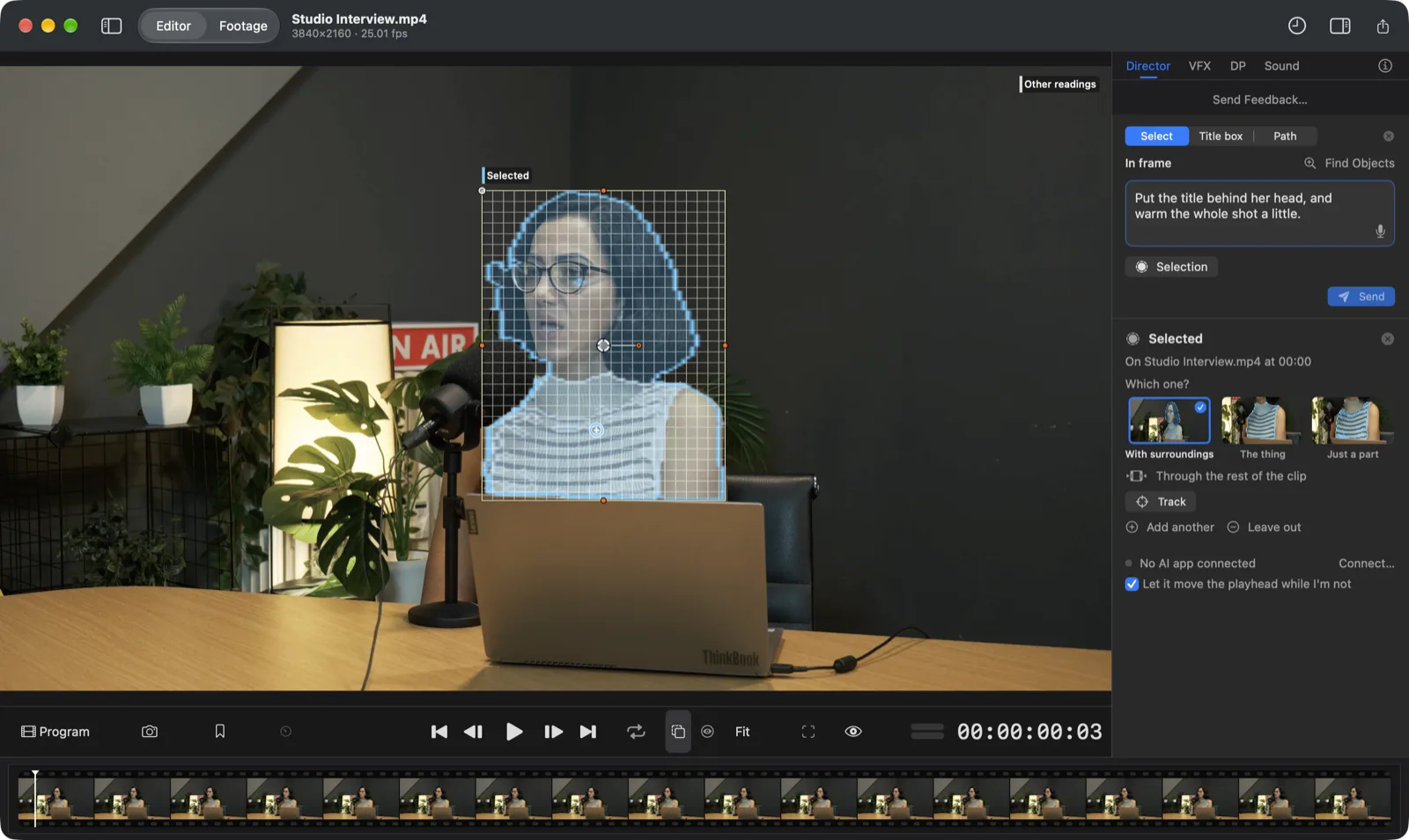 Editor Harness with the guest selected in the picture and a direction typed beside it